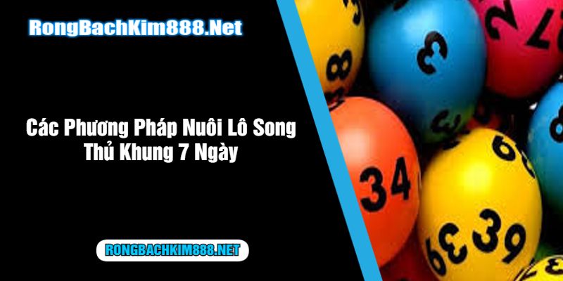 Các Phương Pháp Nuôi Lô Song Thủ Khung 7 Ngày