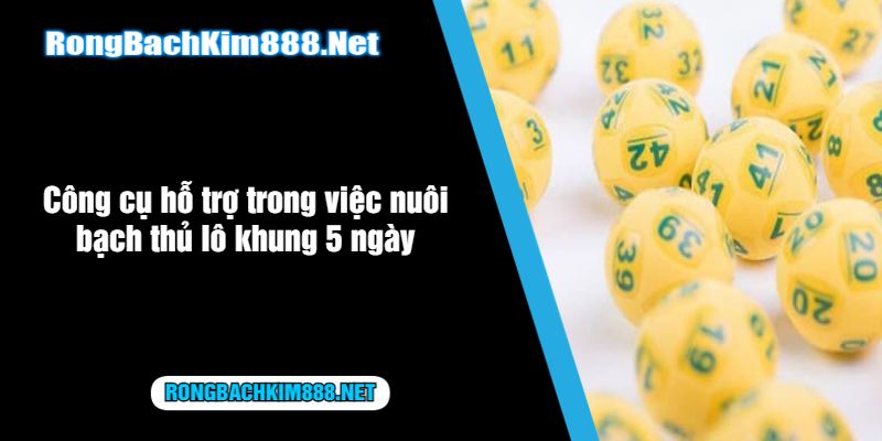 Công cụ hỗ trợ trong việc nuôi bạch thủ lô khung 5 ngày