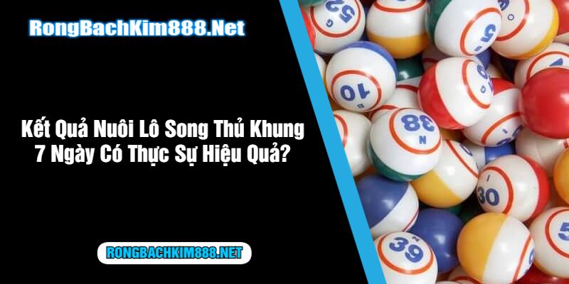 Kết Quả Nuôi Lô Song Thủ Khung 7 Ngày Có Thực Sự Hiệu Quả