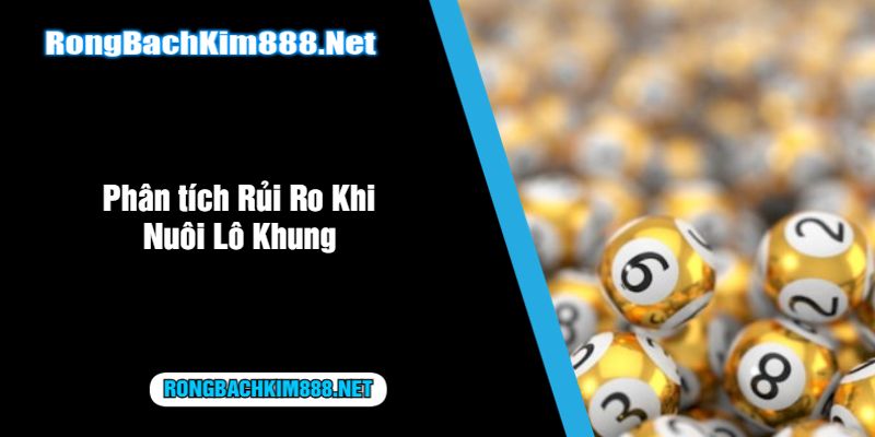 Phân tích Rủi Ro Khi Nuôi Lô Khung