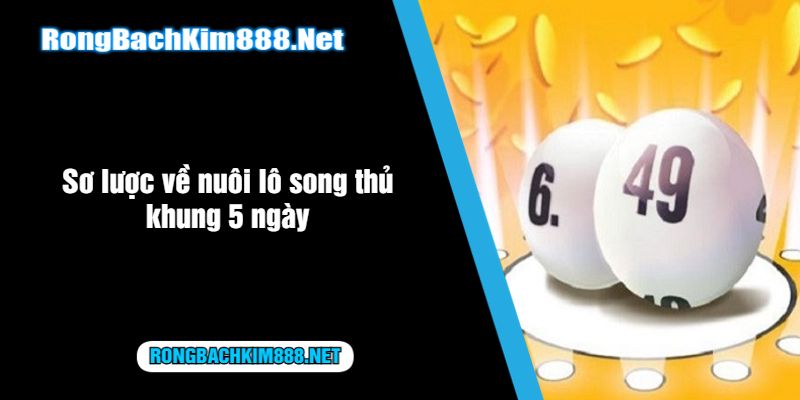 Sơ lược về nuôi lô song thủ khung 5 ngày