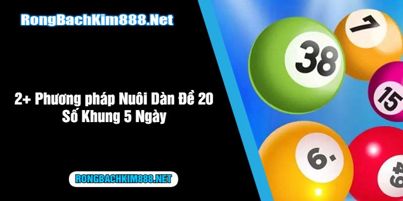 2+ Phương pháp Nuôi Dàn Đề 20 Số Khung 5 Ngày