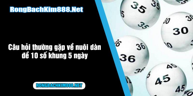 Câu hỏi thường gặp về nuôi dàn đề 10 số khung 5 ngày