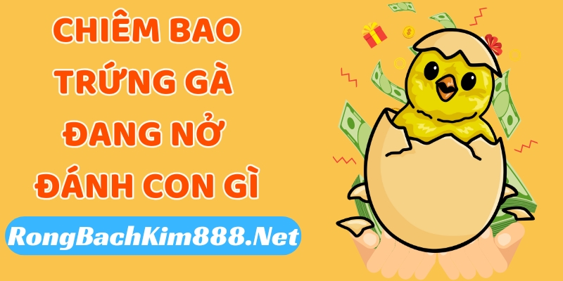 Chiêm bao thấy trứng gà đang nở đánh con gì