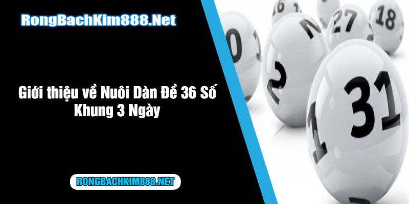 Giới thiệu về Nuôi Dàn Đề 36 Số Khung 3 Ngày