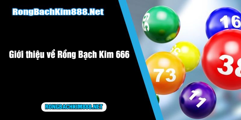 Giới thiệu về Rồng Bạch Kim 666