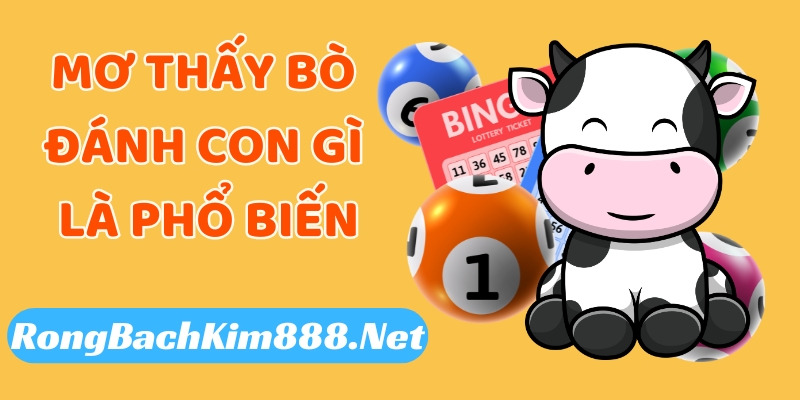 Mơ thấy bò đánh con gì là phổ biến nhất