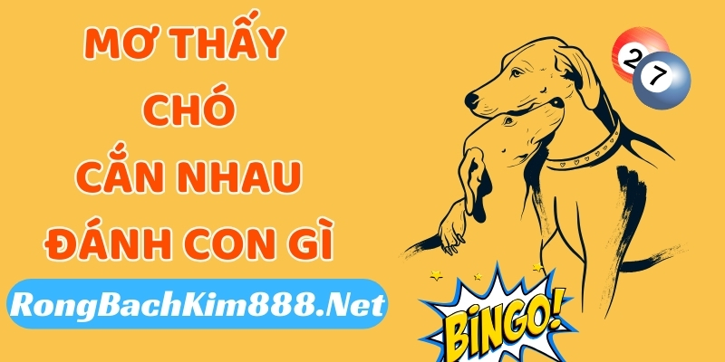 Mơ thấy chó đang cắn nhau thì đánh con gì