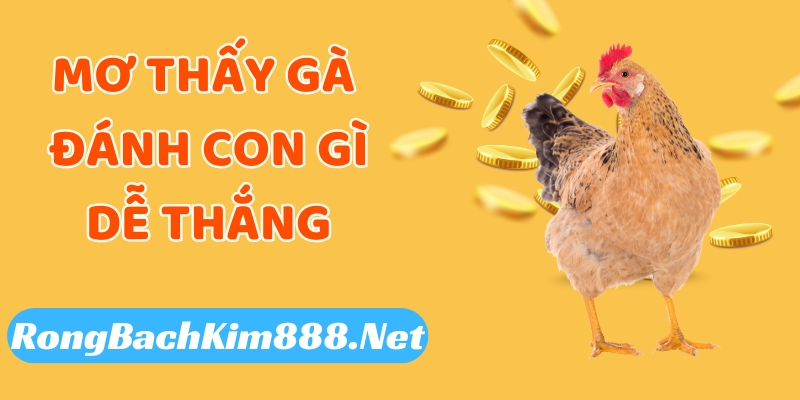 Mơ thấy gà đánh con gì mới dễ thắng