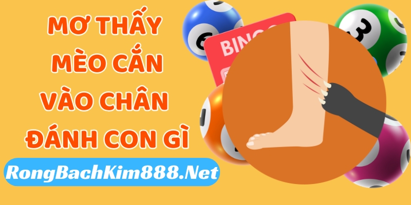 Mơ thấy mèo cắn vào chân đánh con gì