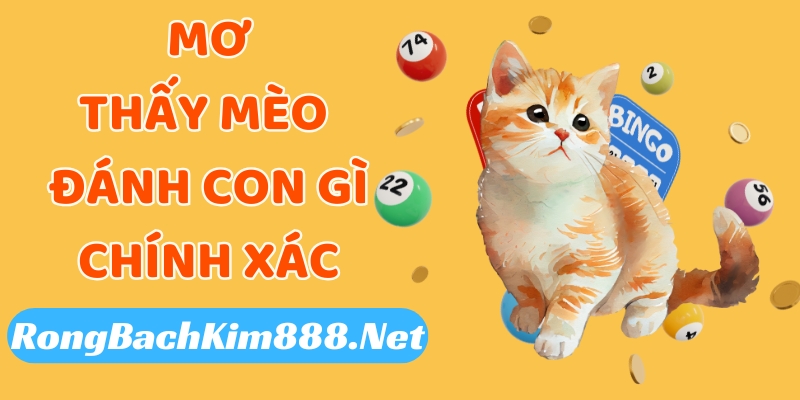 Mơ thấy mèo đánh con gì mới chính xác