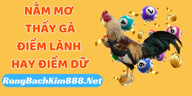 Nằm mơ thấy gà là điềm lành hay điềm dữ