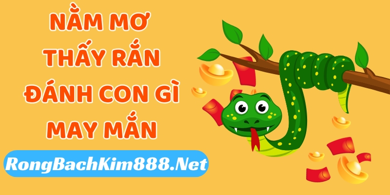 Nằm mơ thấy rắn đánh con gì mới may mắn