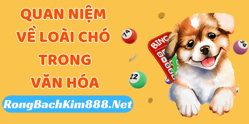 Quan niệm về loài chó trong văn hóa