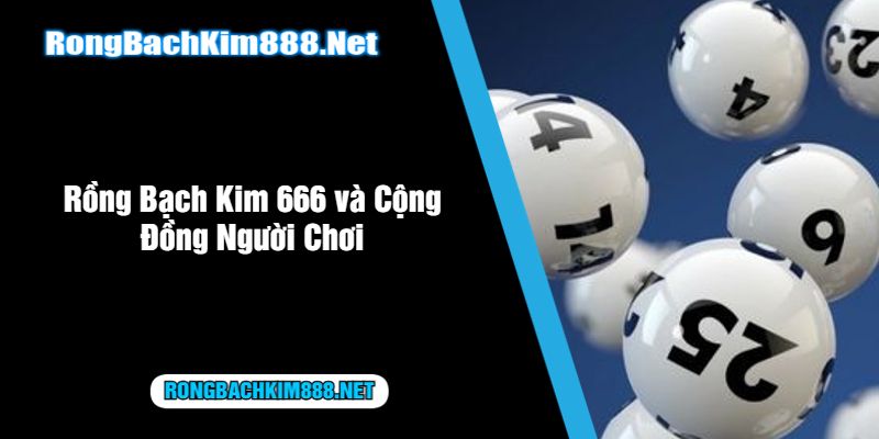 Rồng Bạch Kim 666 và Cộng Đồng Người Chơi