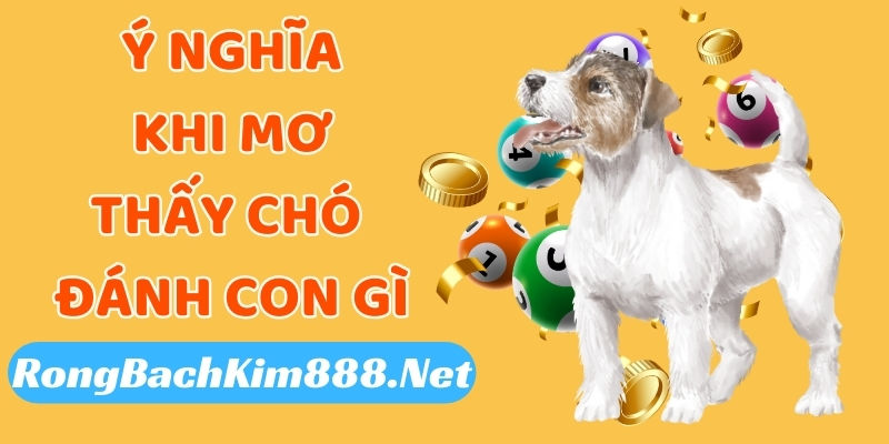 Ý nghĩa khi mơ thấy chó đánh con gì